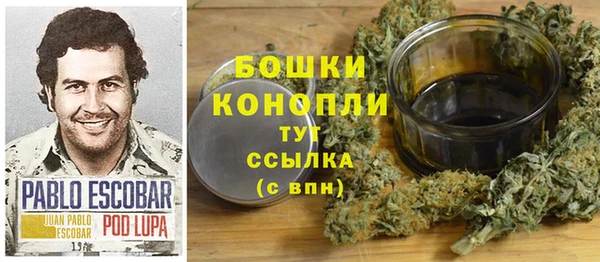 a pvp Каменногорск