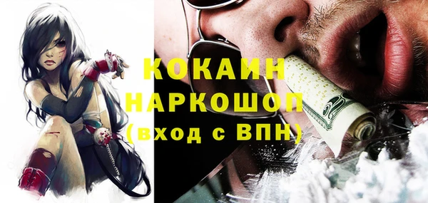 a pvp Каменногорск