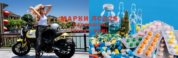 a pvp Каменногорск