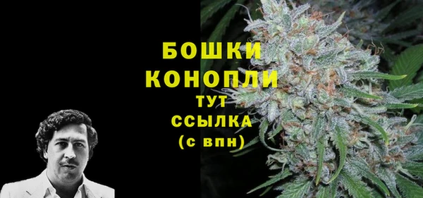 a pvp Каменногорск